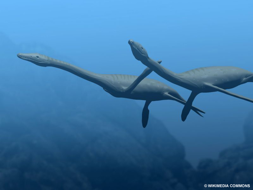 Plesiosaurus was a genus of fish-eating marine reptiles that lived during the early Jurassic period