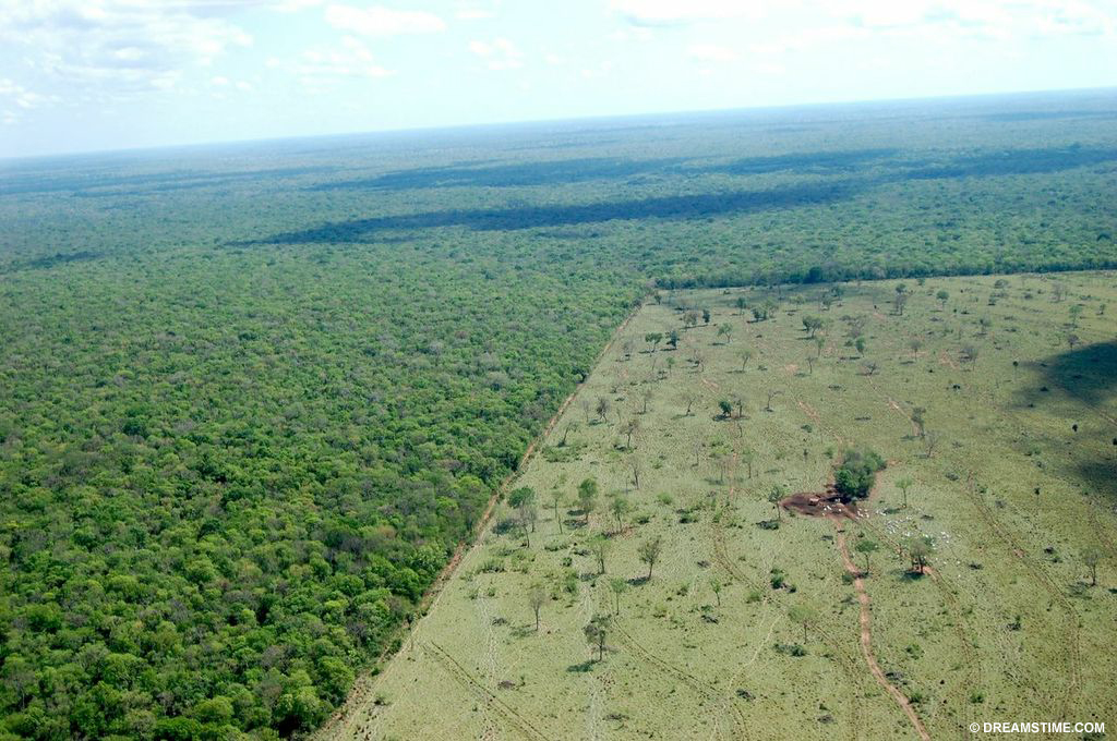 Deforestation in Amazon, Brazil