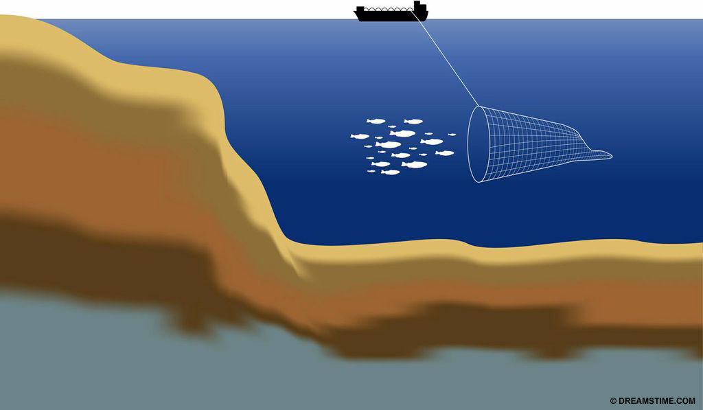 Destructive bottom trawl net in action