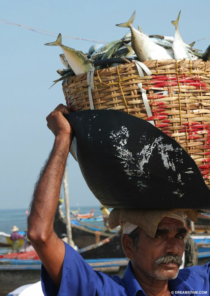 820 million people worldwide are employed by fishing industry