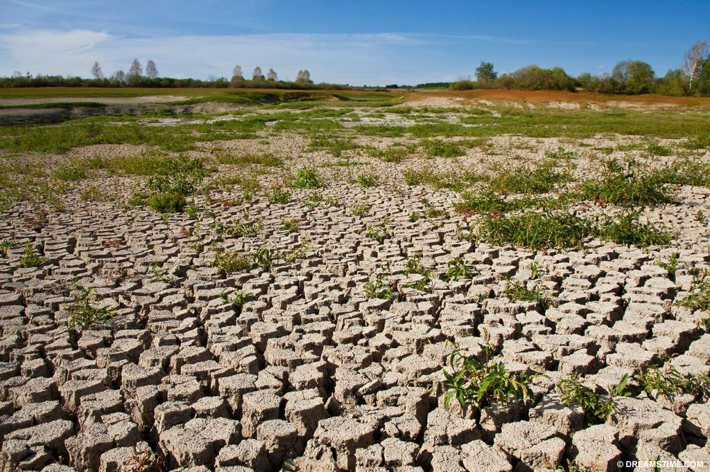 Loss of the massive shelter provided by trees exposes the land to rain and wind, which wash and blow away the soil