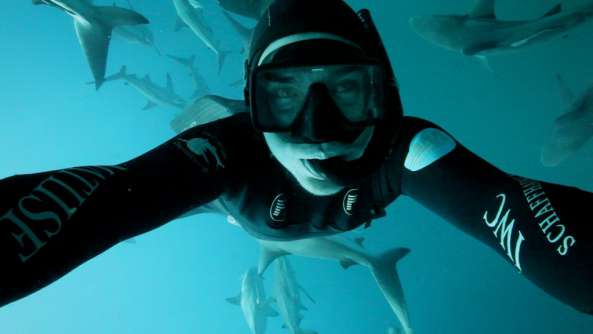 Filming black tip sharks in South Africa.