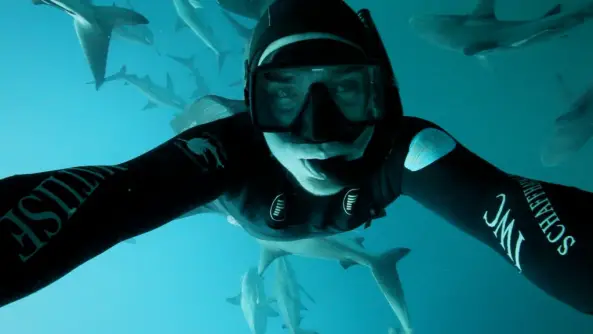 Filming black tip sharks in South Africa.