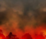 Fire is used as a tool to clear forested land for agriculture, mining, roads, homes and other uses