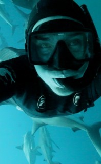 Filming black tip sharks in South Africa.
