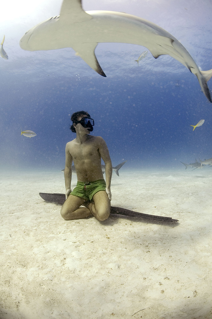 Freediving with caribbean reef sharks Bahamas. Photo © Veruschka Matchett